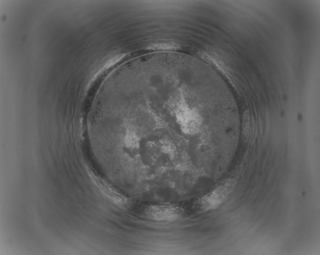 X0000067910351200604131349