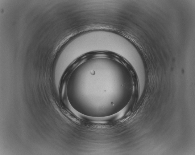 X0000067910352200604131349