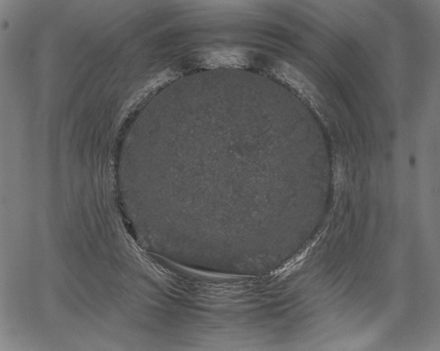 X0000067910353200604131349