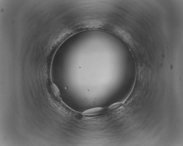 X0000067910354200604131349