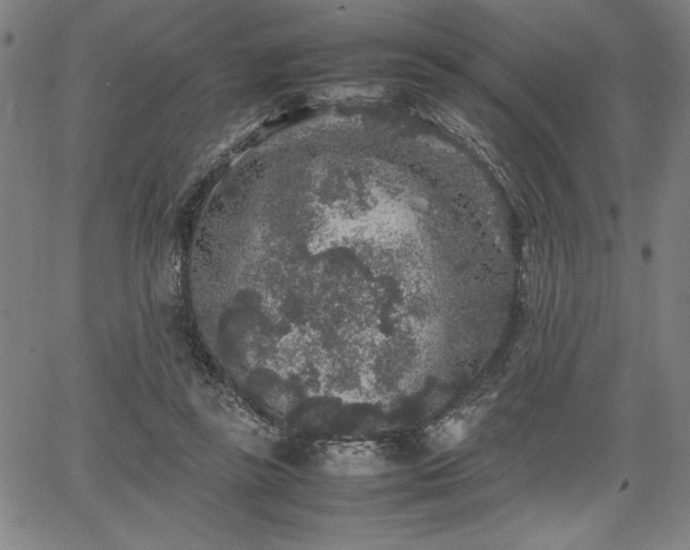 X0000067910355200604131349