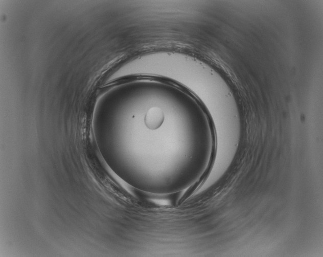 X0000067910356200604131349