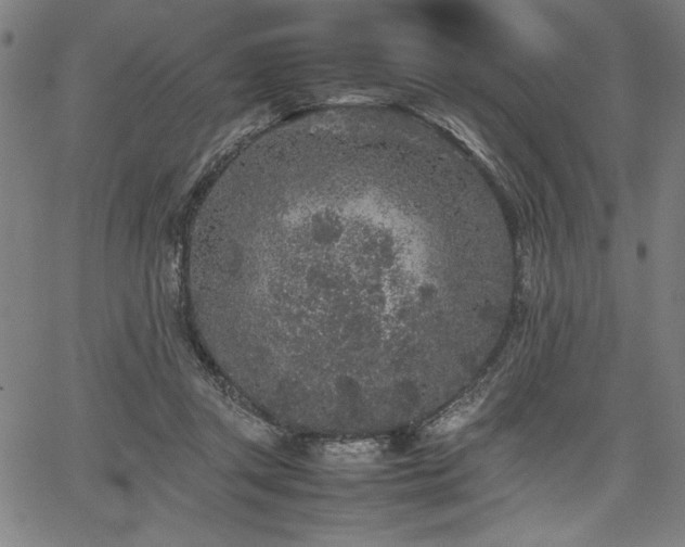 X0000067910357200604131349