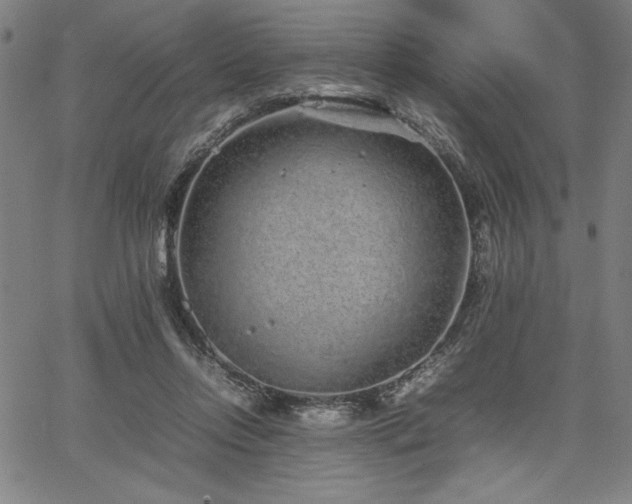 X0000067910358200604131349