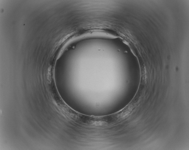 X0000067910360200604131349