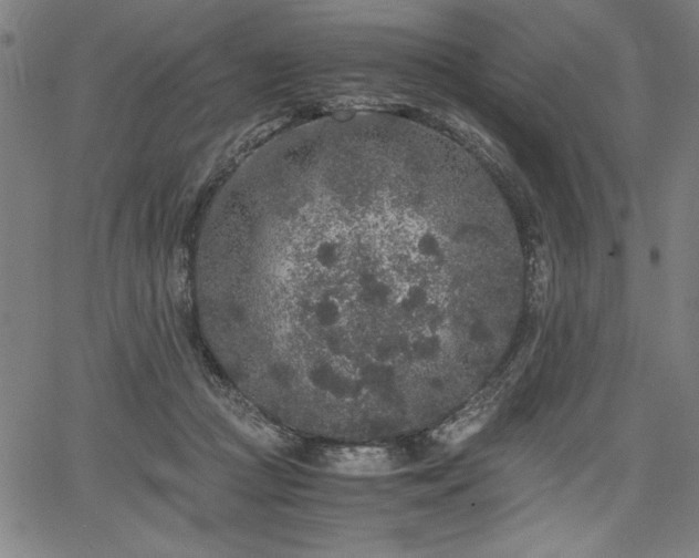 X0000067910361200604131349