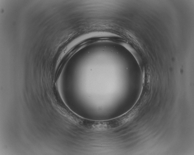 X0000067910362200604131349