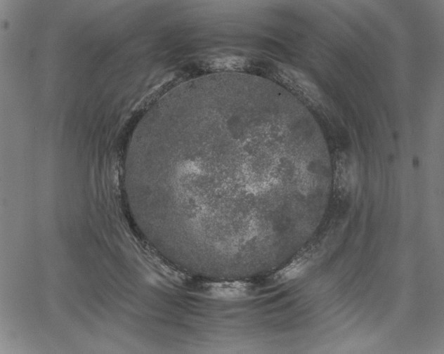 X0000067910363200604131349