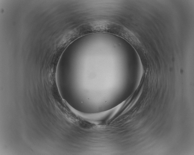 X0000067910364200604131349