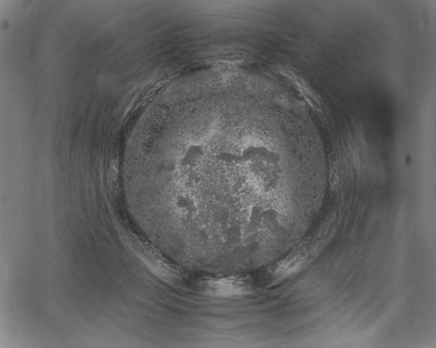 X0000067910365200604131349