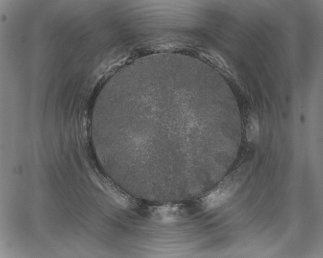 X0000067910366200604131349