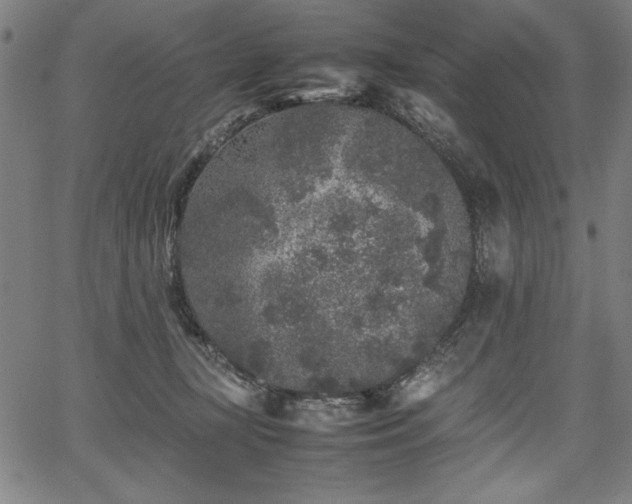 X0000067910367200604131349