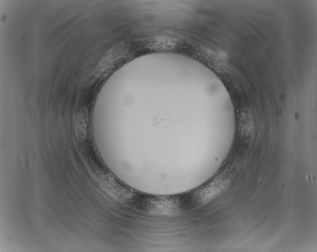 X0000067910370200604131349