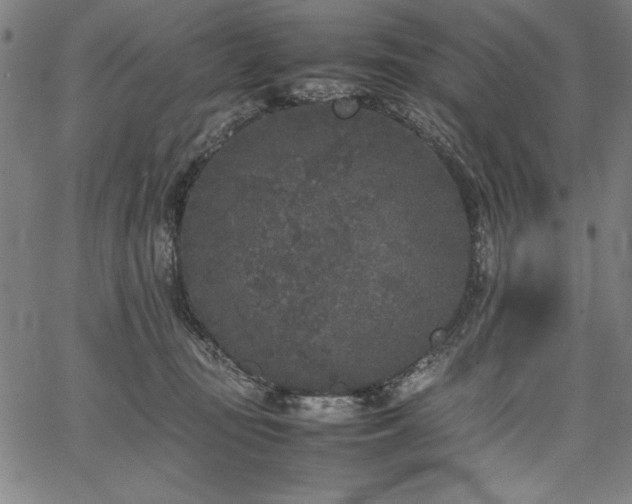 X0000067910371200604131349