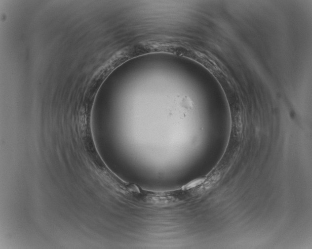 X0000067910372200604131349