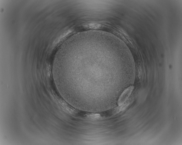 X0000067910374200604131349