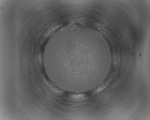 X0000067910375200604131349