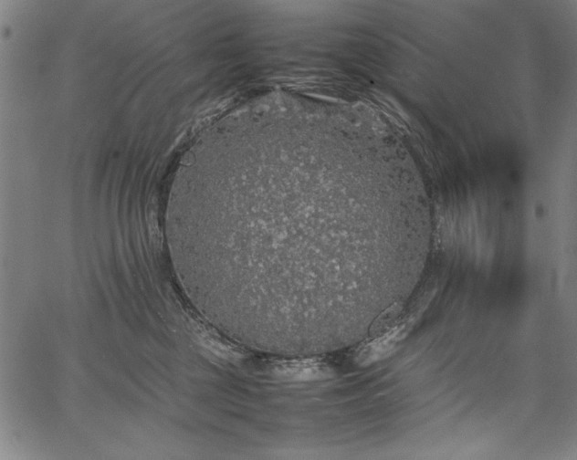 X0000067910377200604131349