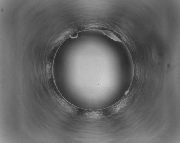 X0000067910378200604131349