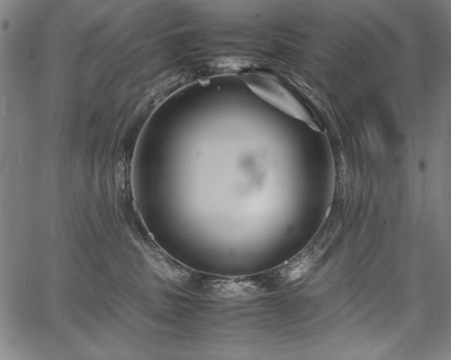 X0000067910379200604131349