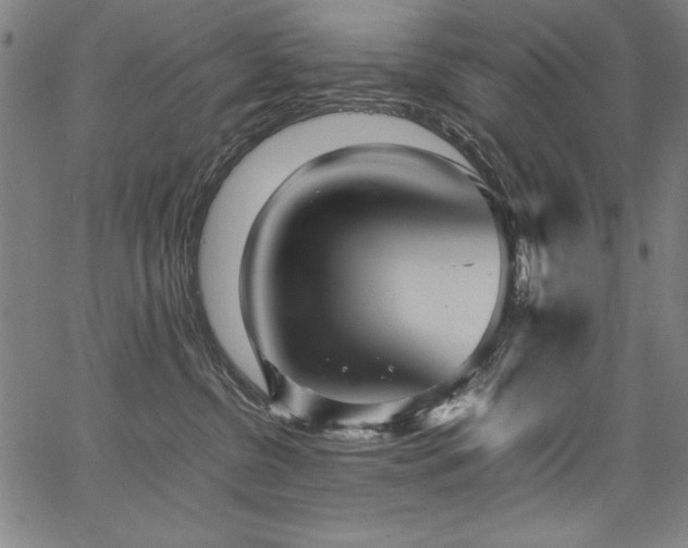 X0000067910380200604131349