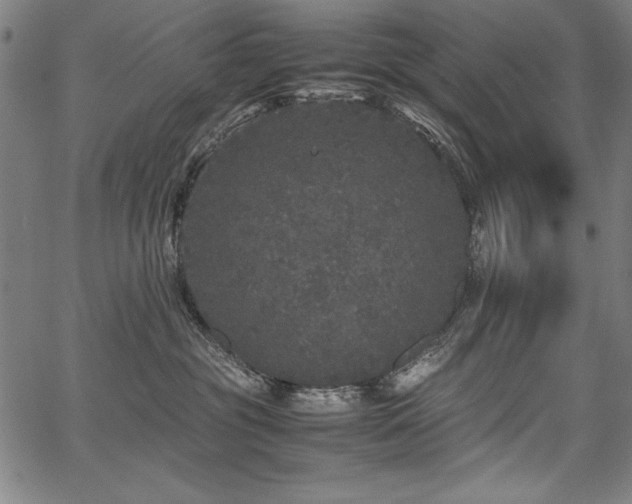 X0000067910381200604131349