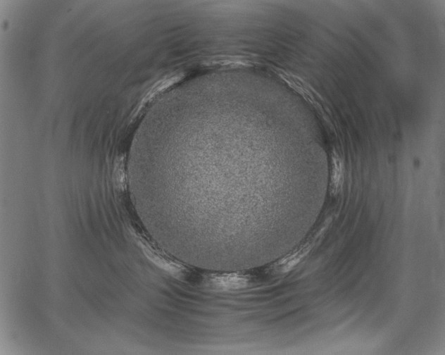 X0000067910383200604131349