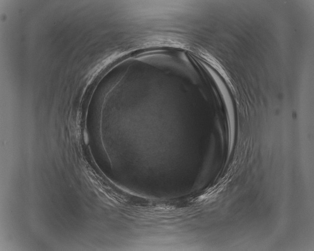 X0000067910387200604131349