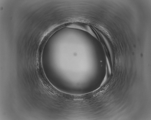 X0000067910388200604131349