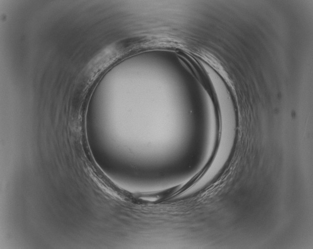 X0000067910389200604131349