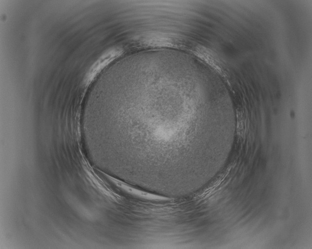 X0000067910390200604131349