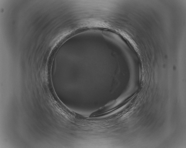 X0000067910391200604131349