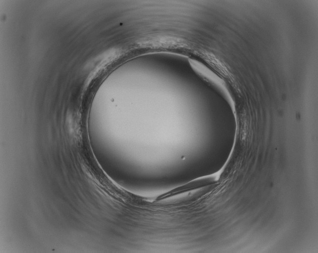 X0000067910392200604131349