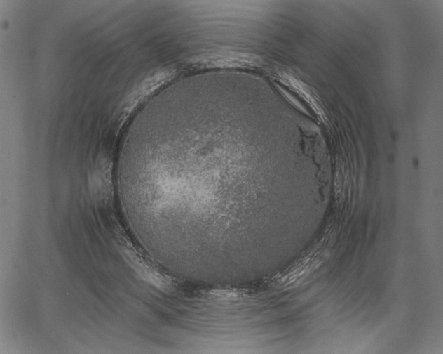 X0000067910394200604131348