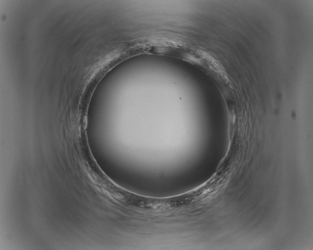 X0000067910395200604131348