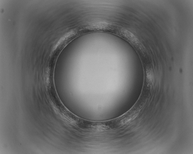 X0000067910396200604131348