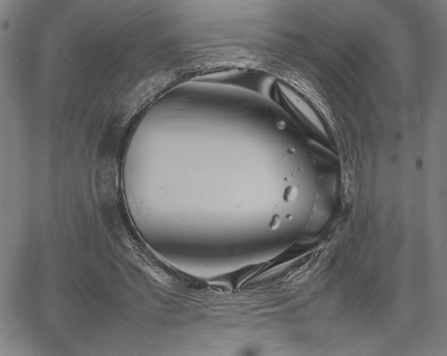 X0000067910397200604131348