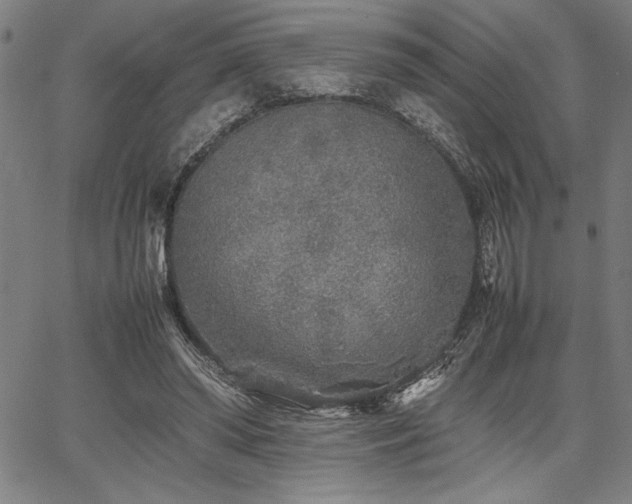 X0000067910398200604131348