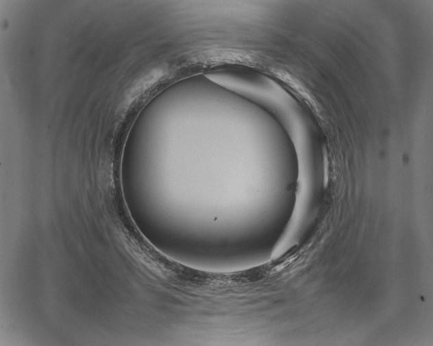 X0000067910399200604131348