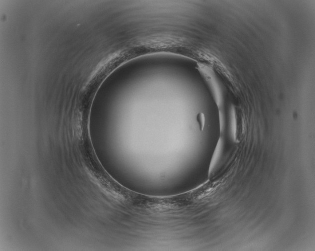 X0000067910400200604131348