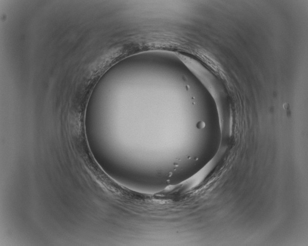 X0000067910401200604131348