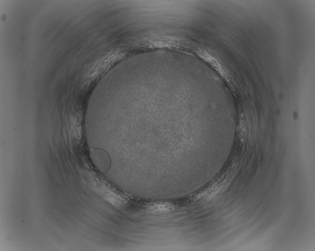 X0000067910402200604131348