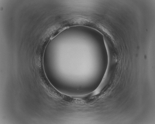 X0000067910403200604131348