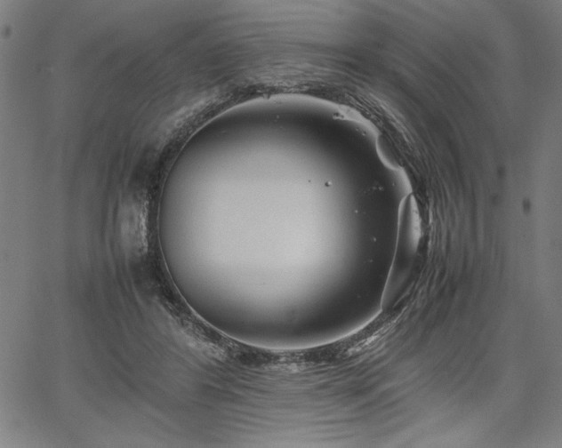 X0000067910404200604131348