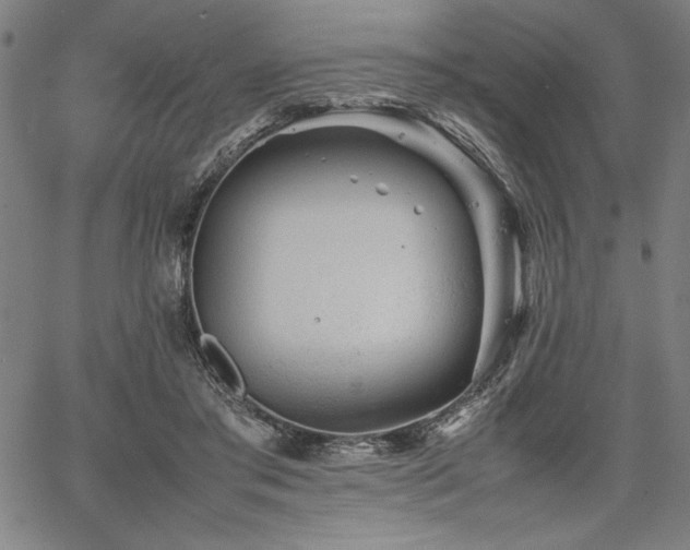 X0000067910405200604131348