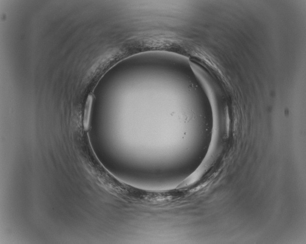 X0000067910407200604131348