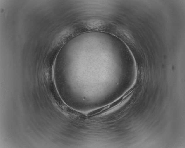 X0000067910408200604131348