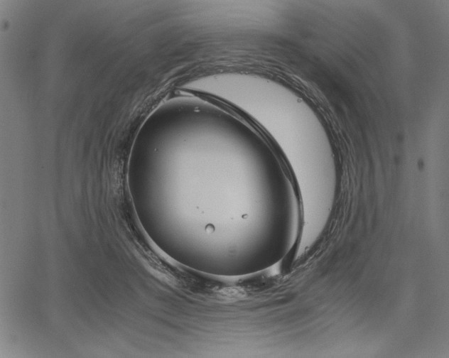 X0000067910409200604131348