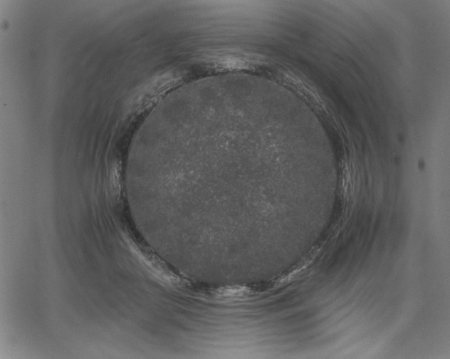 X0000067910410200604131348