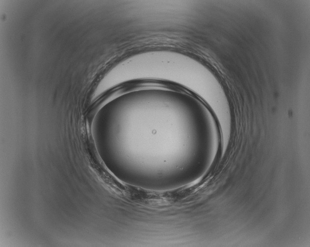 X0000067910411200604131348